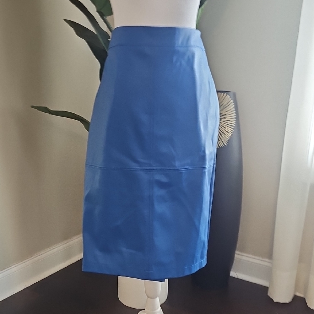 Faux Leather Women's Skirt